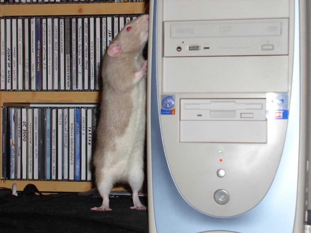 U PC.jpg