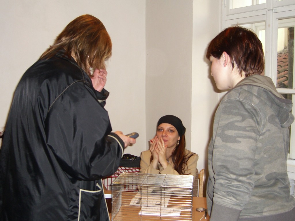 CIMG1657.jpg