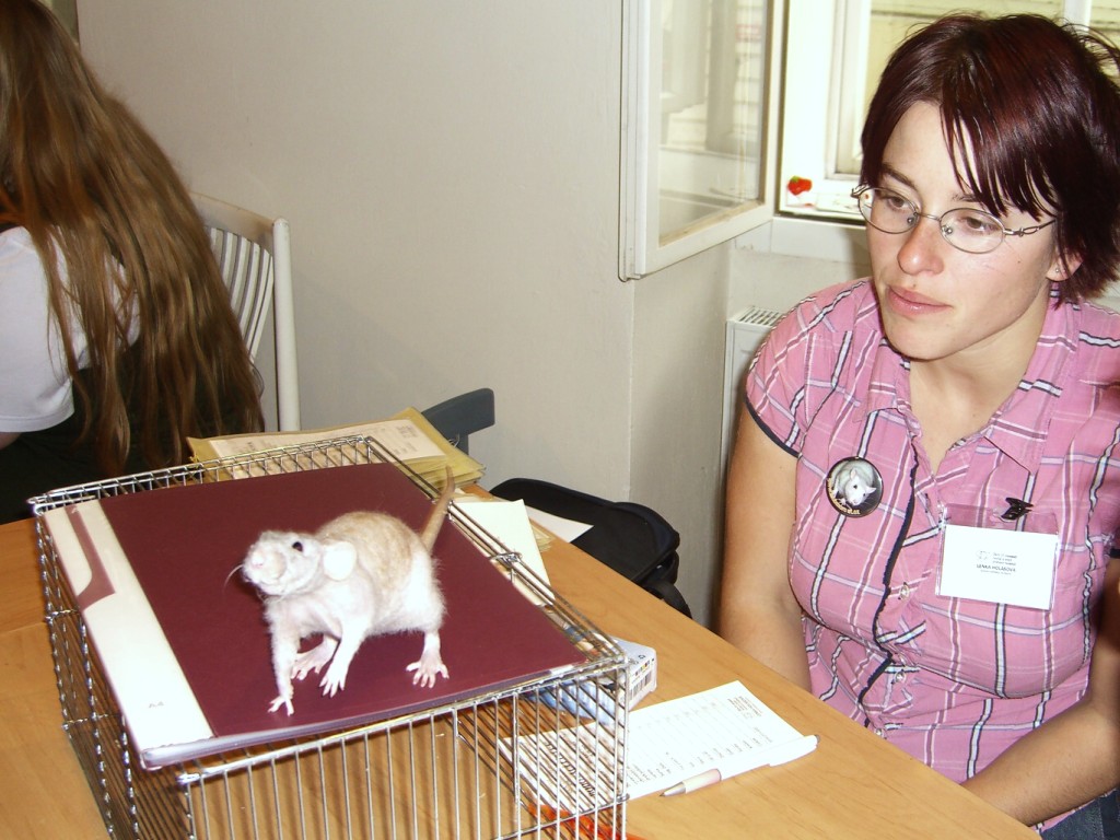CIMG1697.jpg