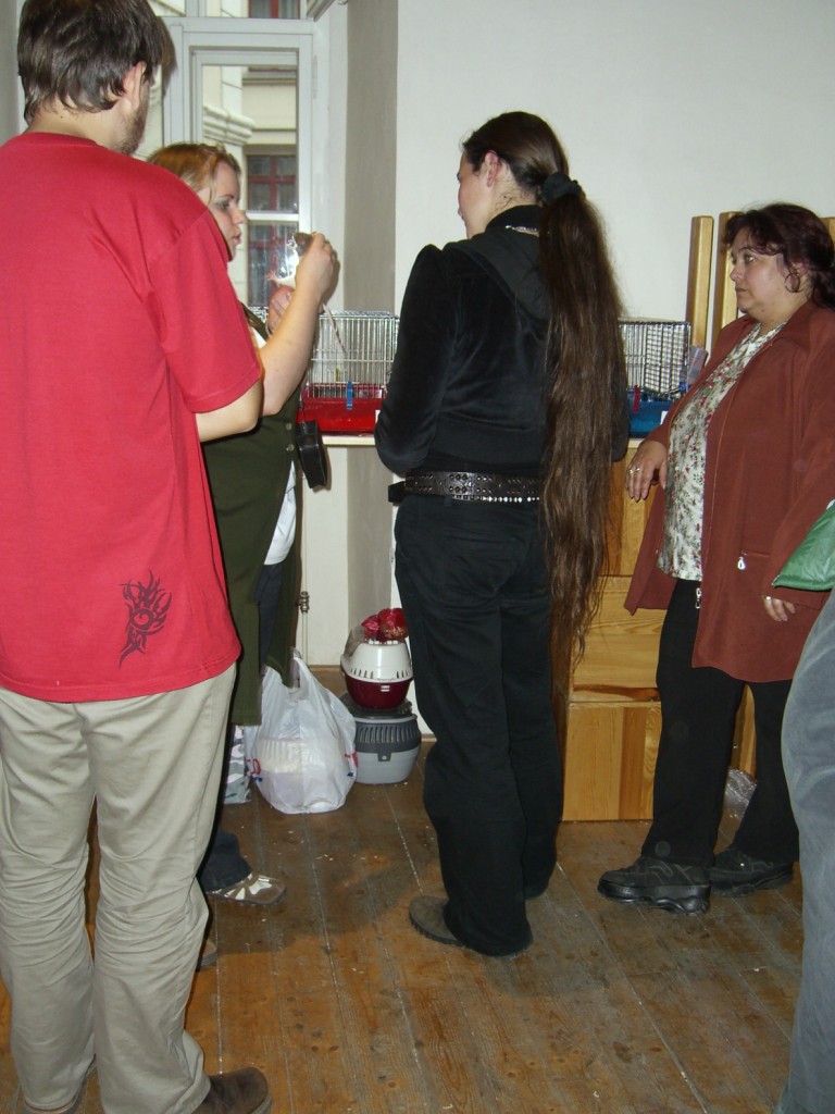CIMG1715.jpg