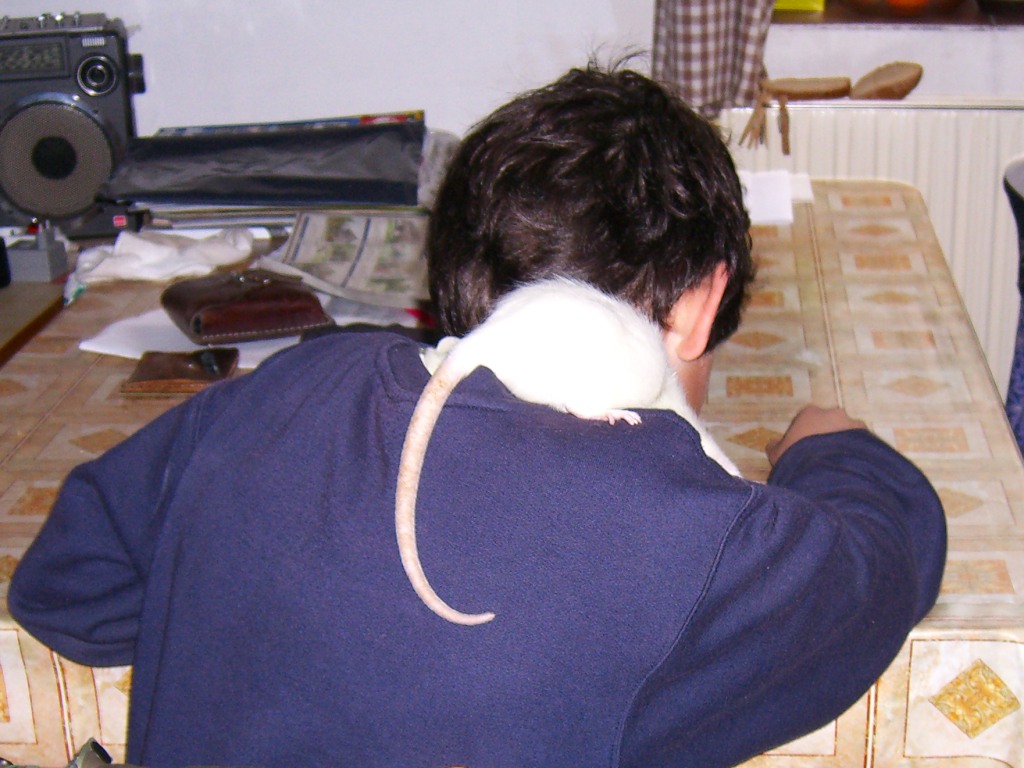 CIMG4541.jpg