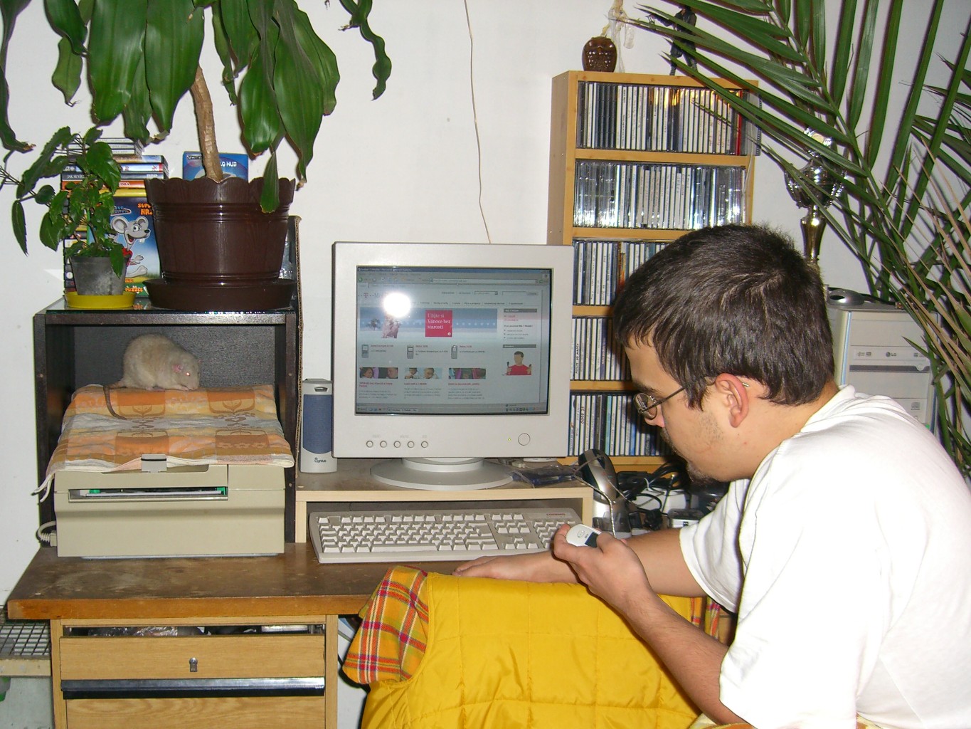 9.jpg