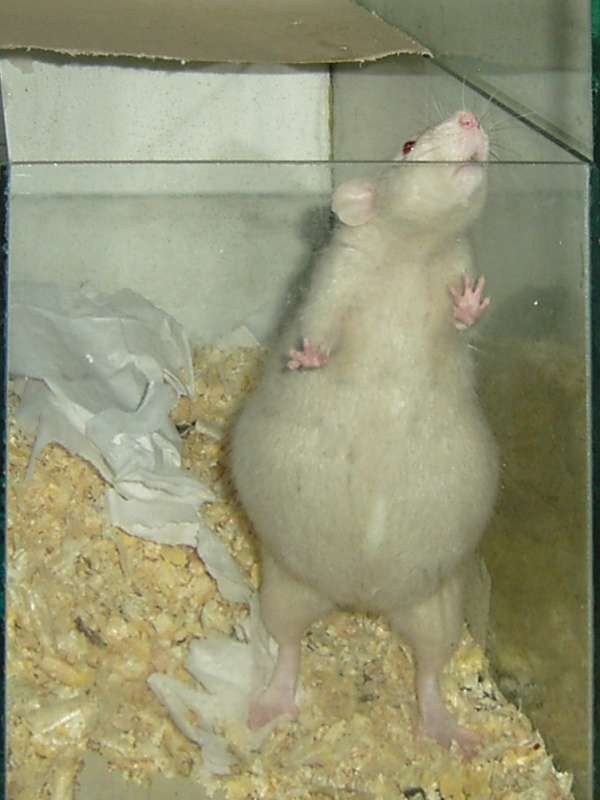 KIF_2523.jpg